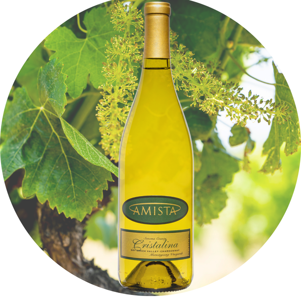 All Wines | Amista Vineyards