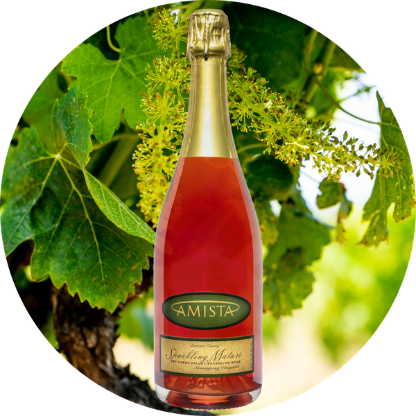 All Wines | Amista Vineyards