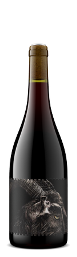 2024 Black Sheep Pinot Noir | Antiquum Farm