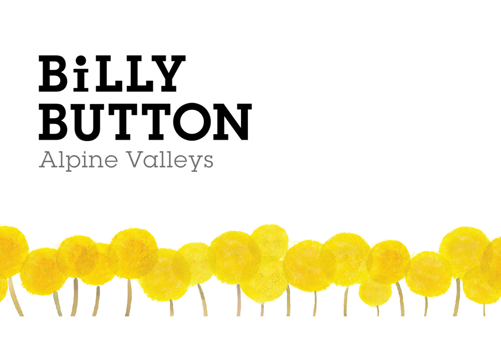 Billy Button Art Print Poster