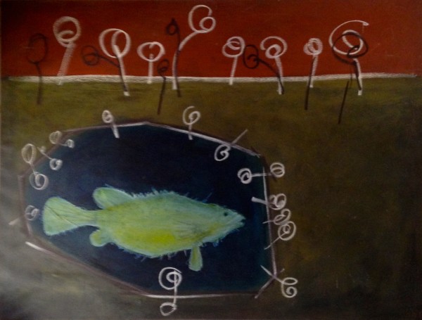 Steve Baird Cod Hole