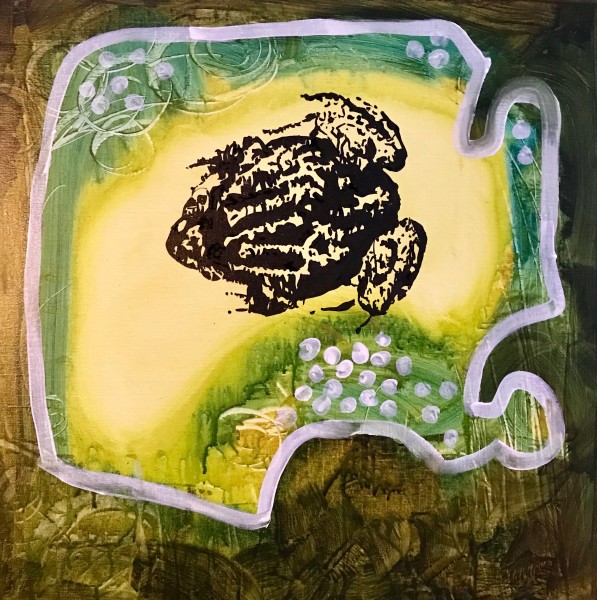Steve Baird Pobblebonk02