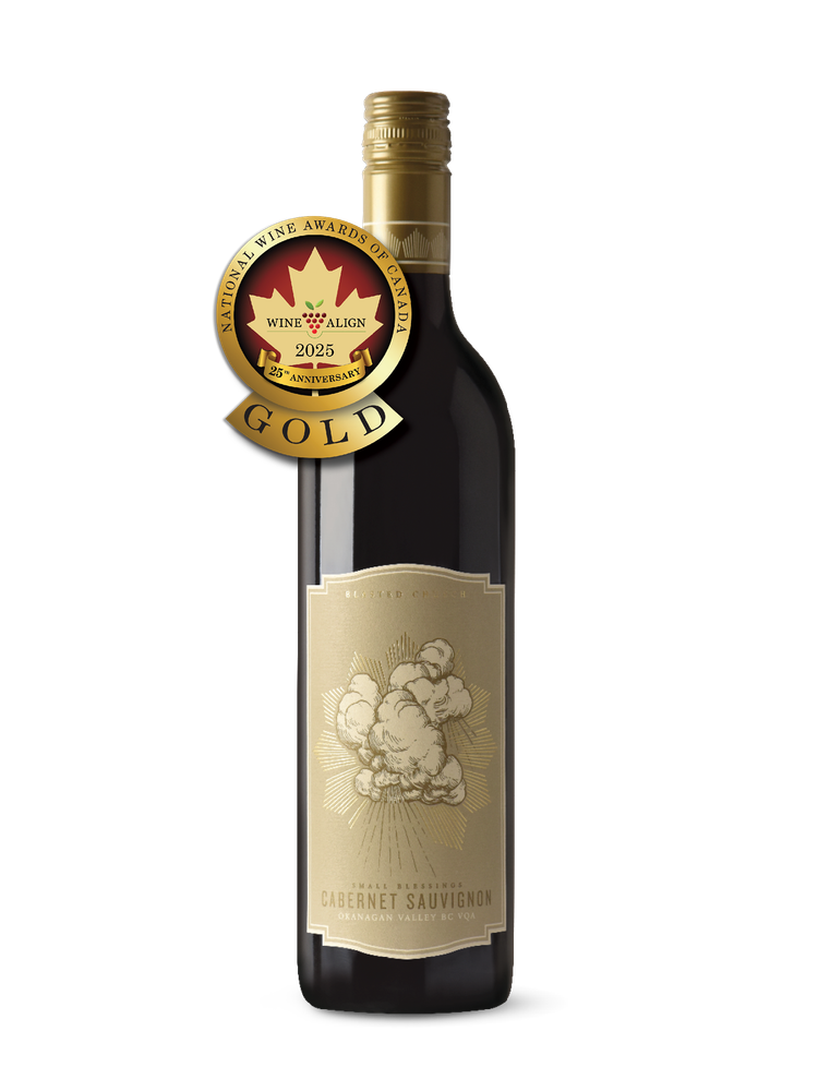 Small Blessings Cabernet Sauvignon 2022 | Blasted Church Vineyards