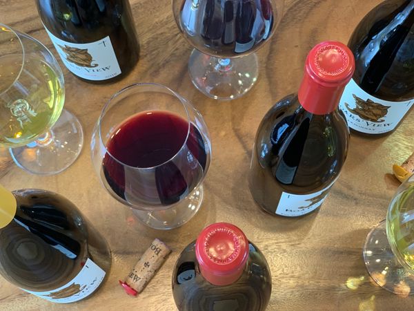 Current Offering | Boars' View