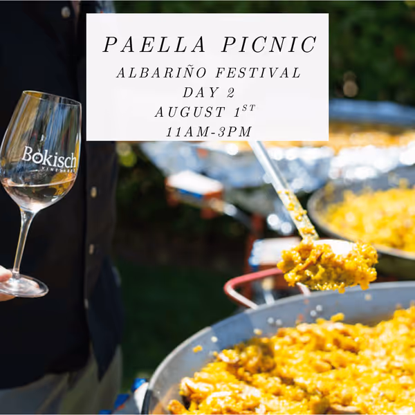 Paella Picnic – Albariño Fest Day 2 – Bokish Vineyards