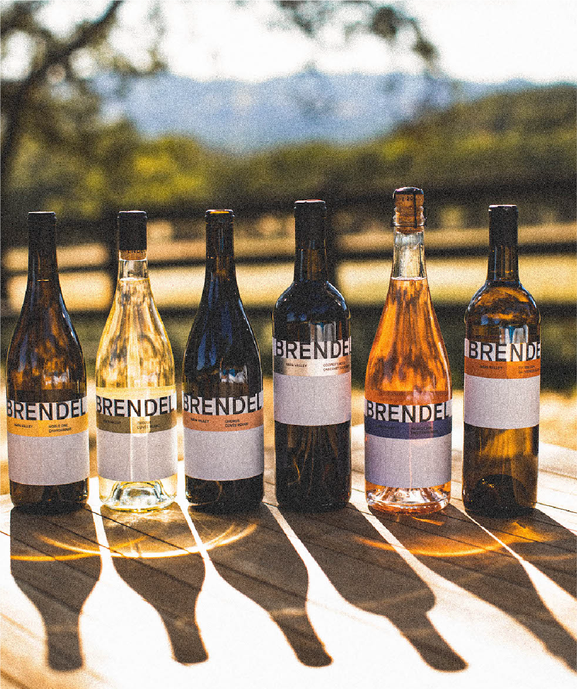 Brendel Essentials 6-pack