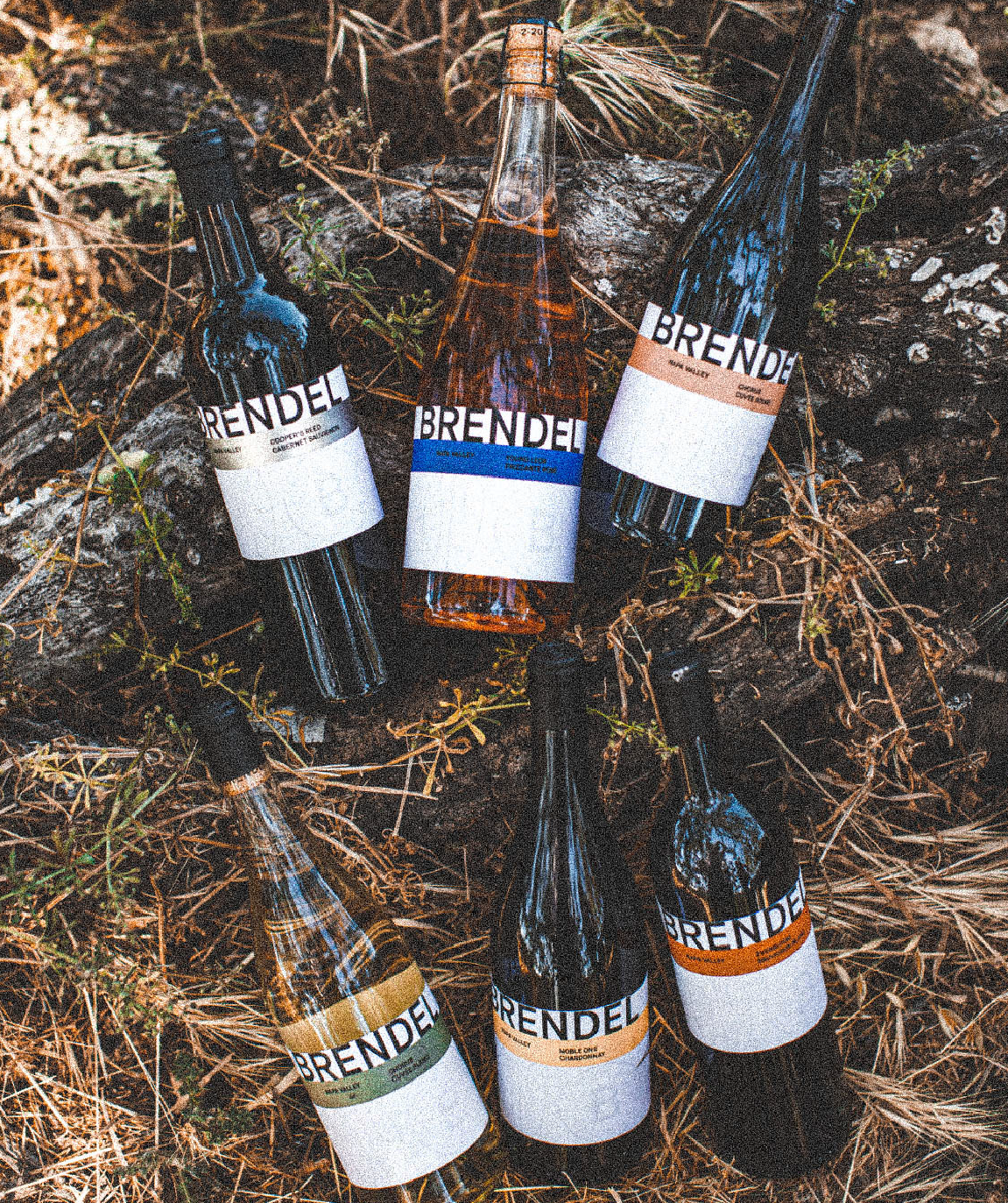 Brendel Essentials 12-Pack