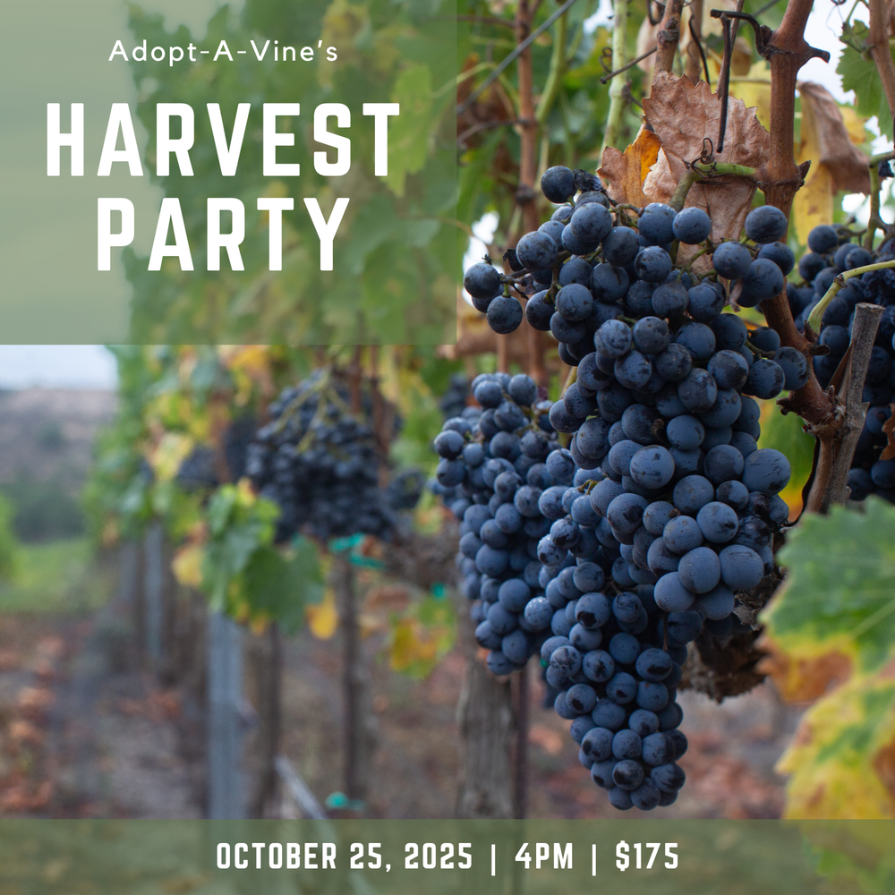 Harvest Party 2025