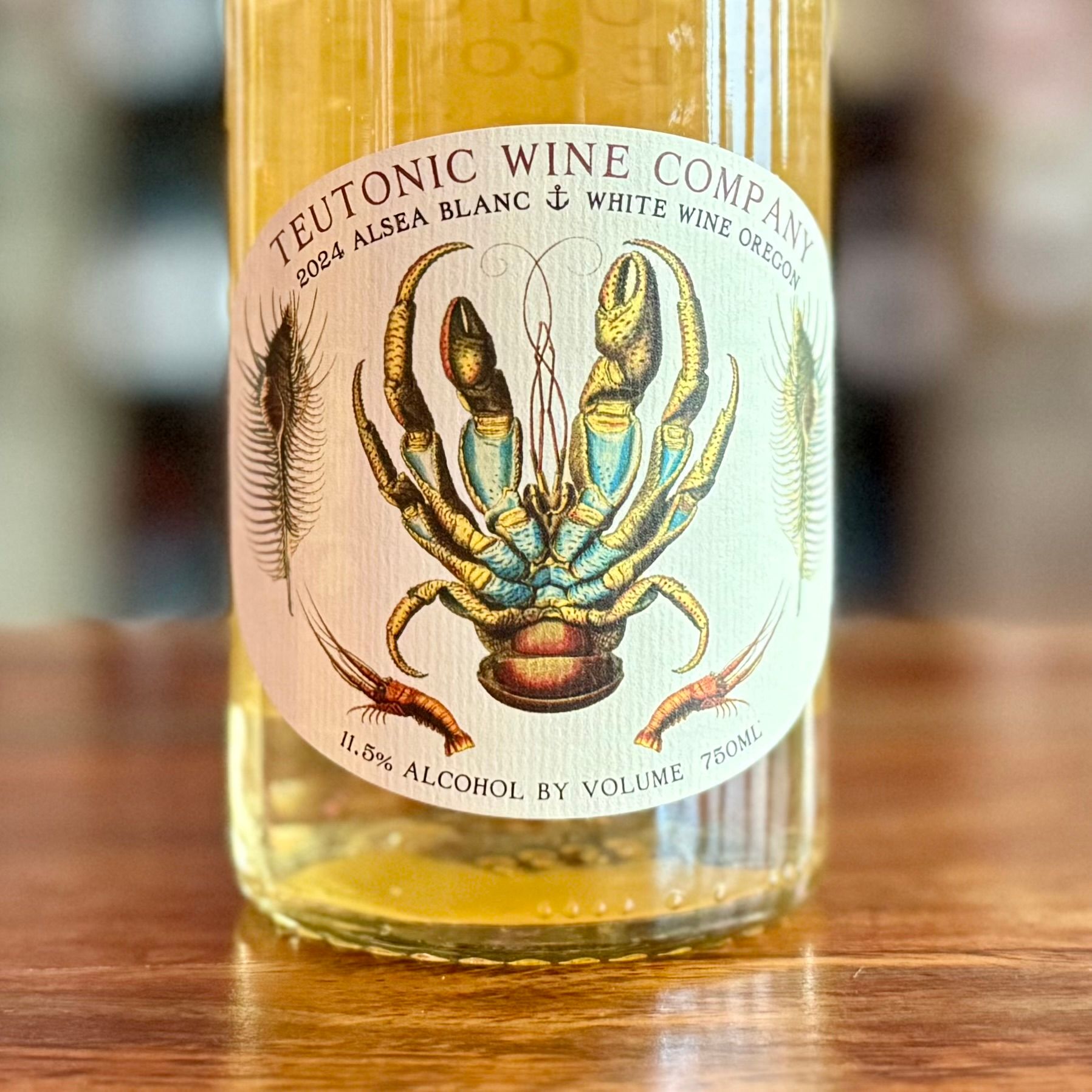 Teutonic 2024 Alsea Blanc White Wine