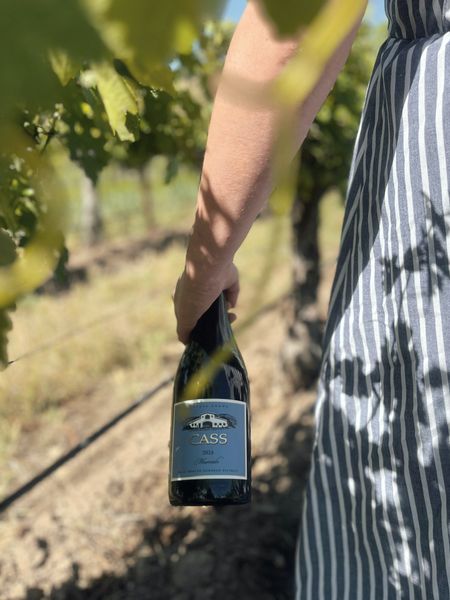 Product Not Found | CASS Winery