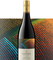 A*o様 Domaine Nakajima 2024 Pinot Noir 日本 Domaine Nakajima 2024 Pinot Noir 日本ワイン - メルカリ