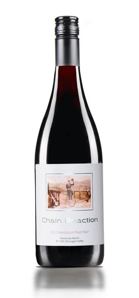 2023 Pendulum Pinot Noir