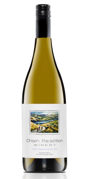 2025 Tailwind Pinot Gris Case Sale