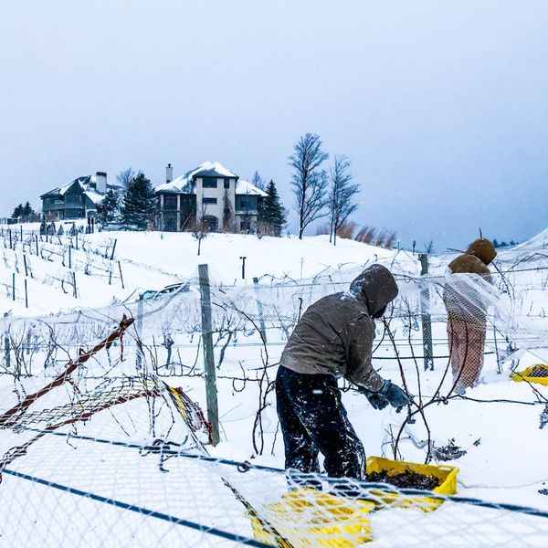 Fire & Ice Wine Dinner