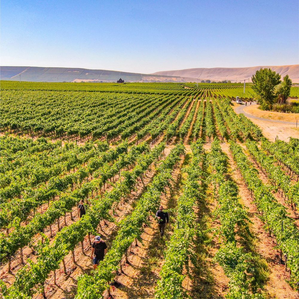 2021 Grand Ciel Syrah