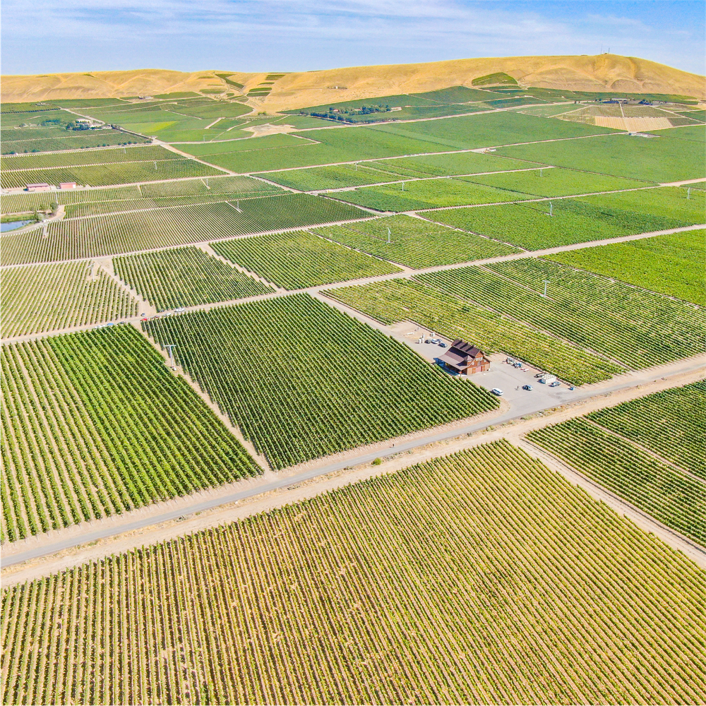 2012 Chaleur Estate Red Blend