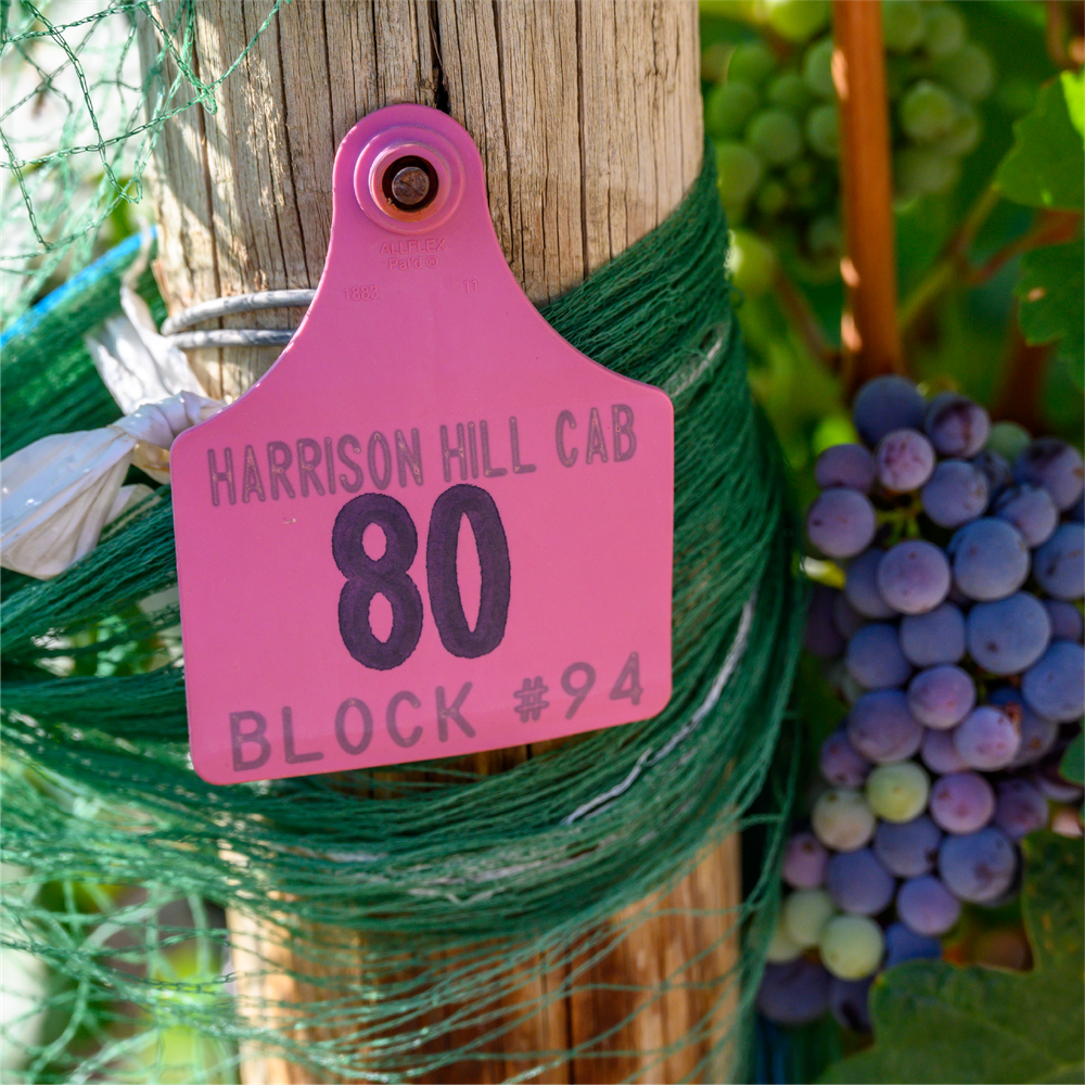 2007 Harrison Hill Red Blend