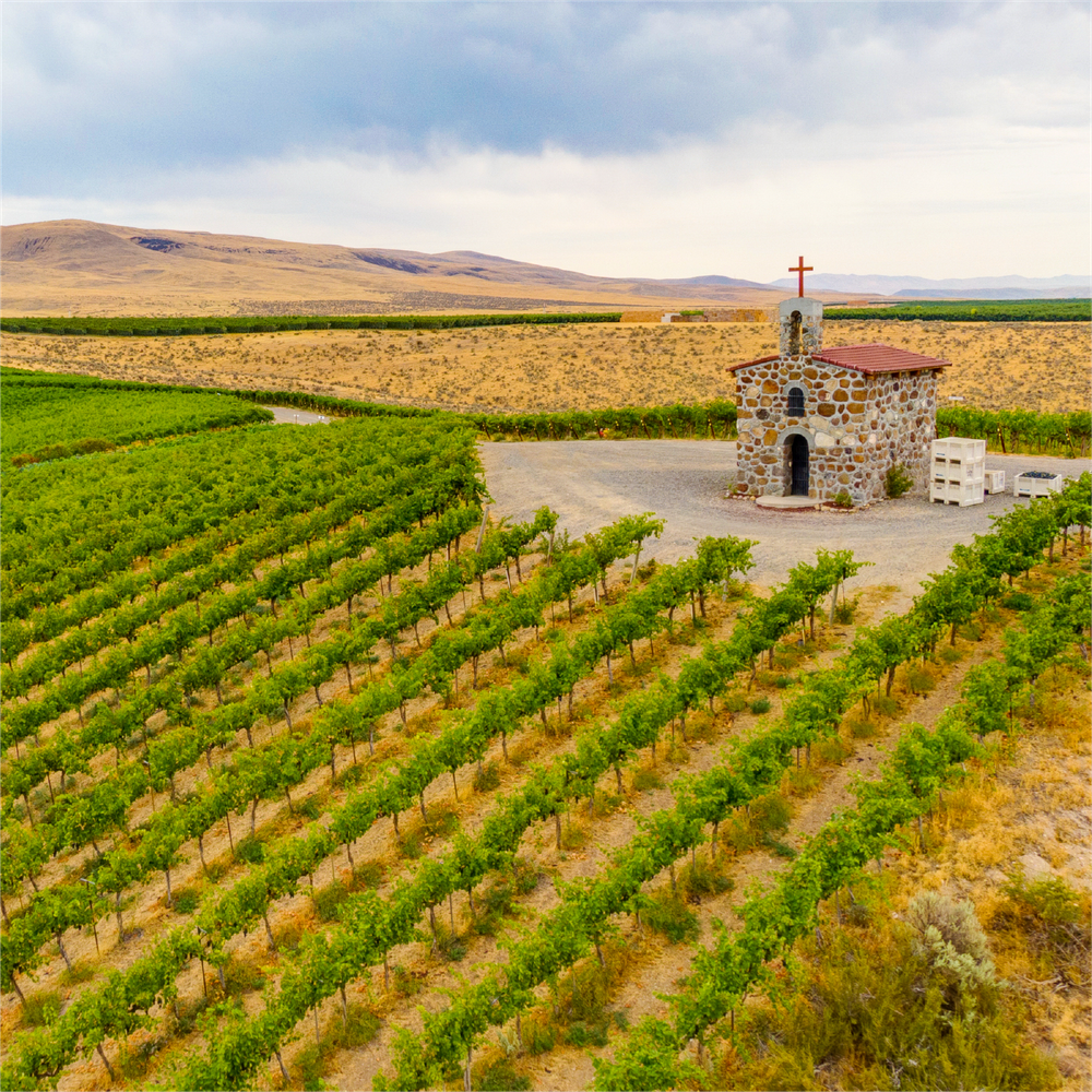 2023 Red Willow Chardonnay