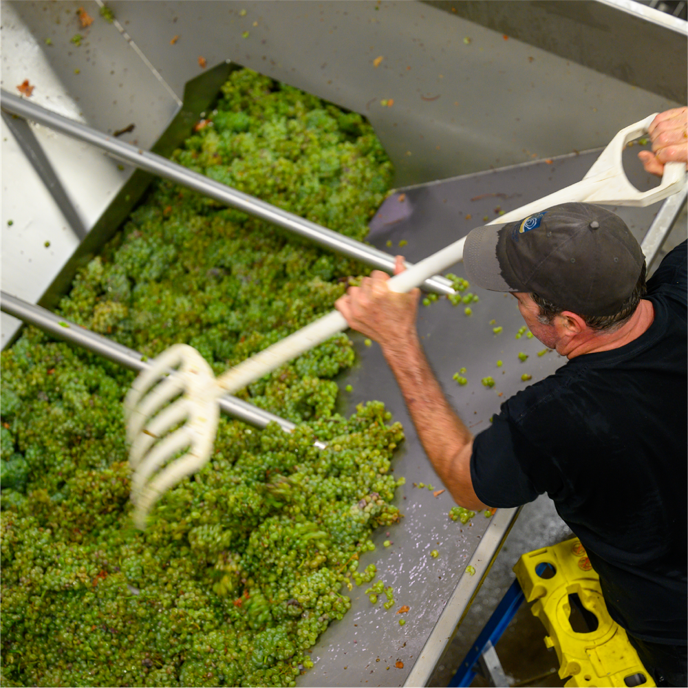 2023 Red Willow Chardonnay