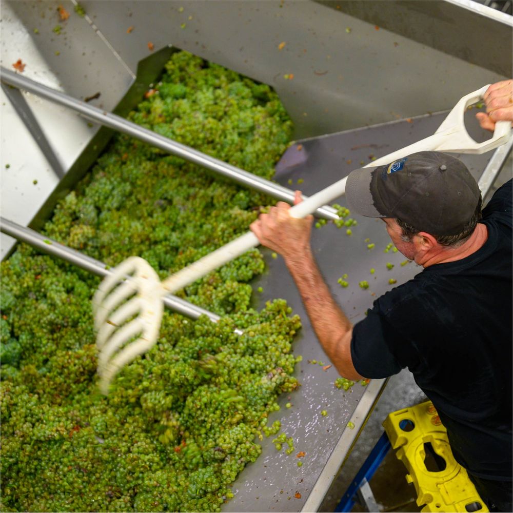 2020 Chaleur Blanc White Blend