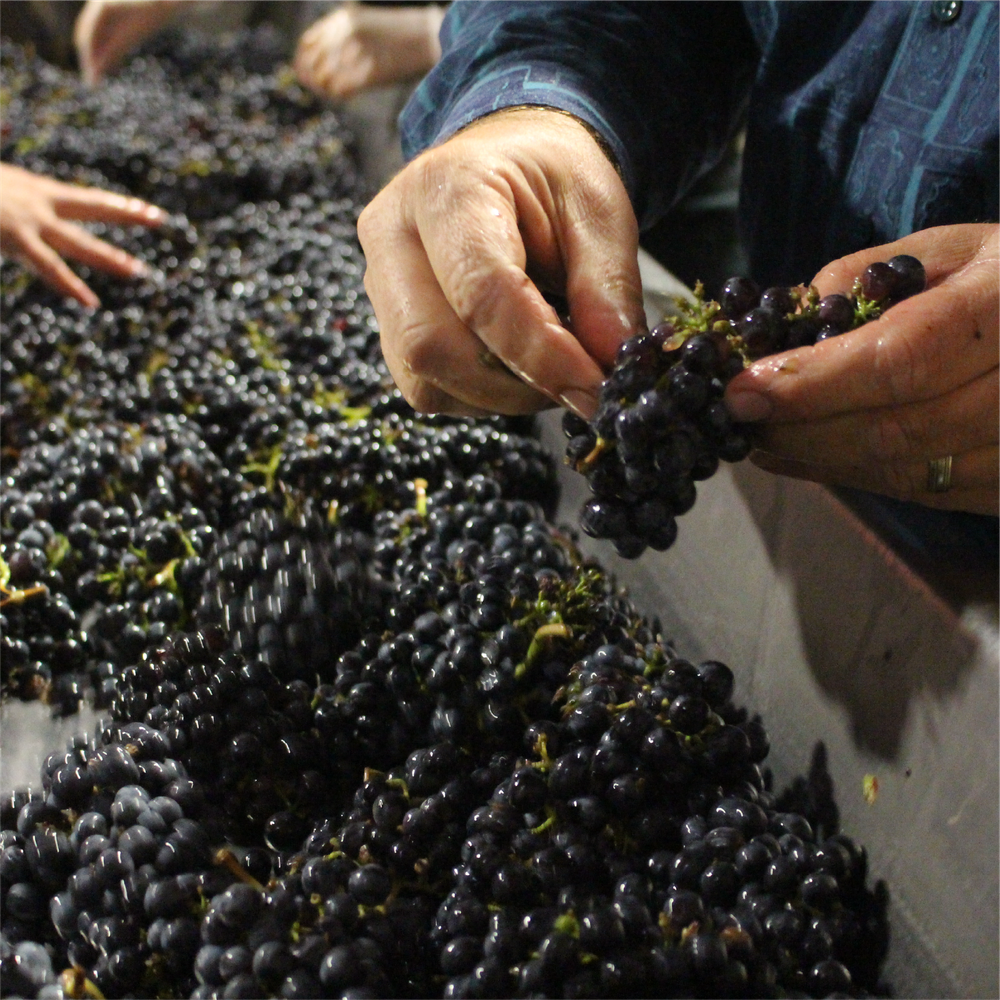 2020 Doyenne Red Blend