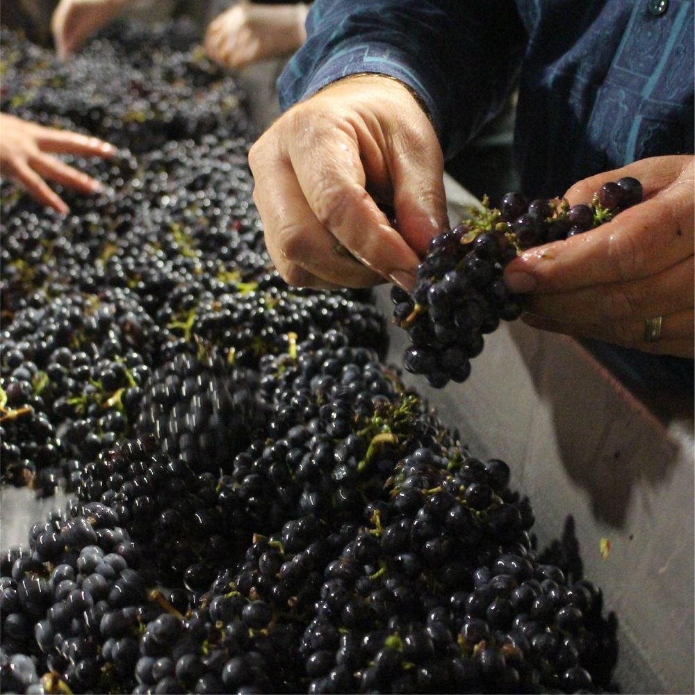 2023 Upland Syrah