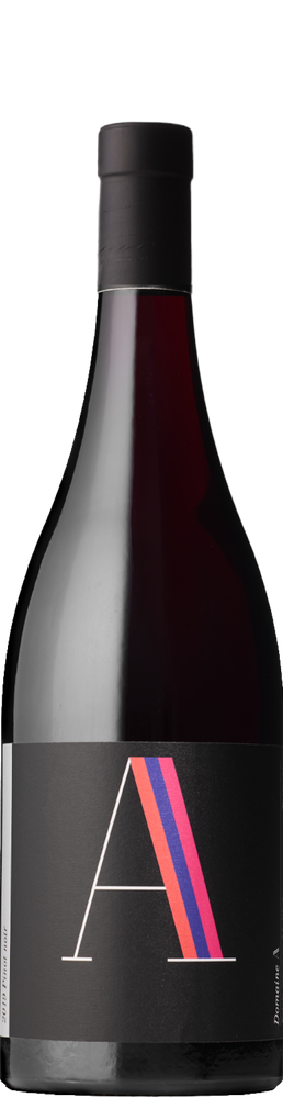 Pinot noir 2019