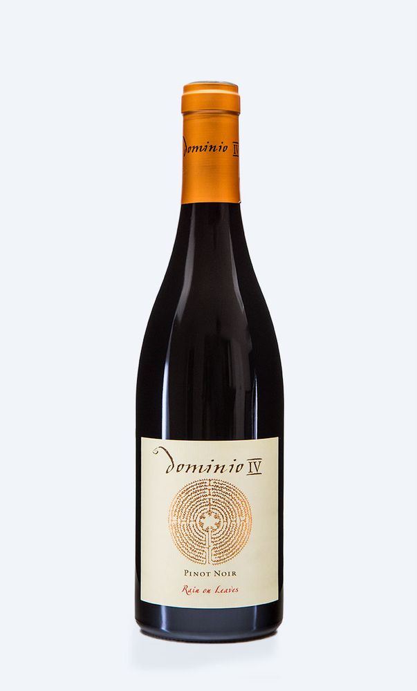 セントポーリア AB Champagne in the Rain 81USkGXwvGL._UF894,1000_QL80_.jpg