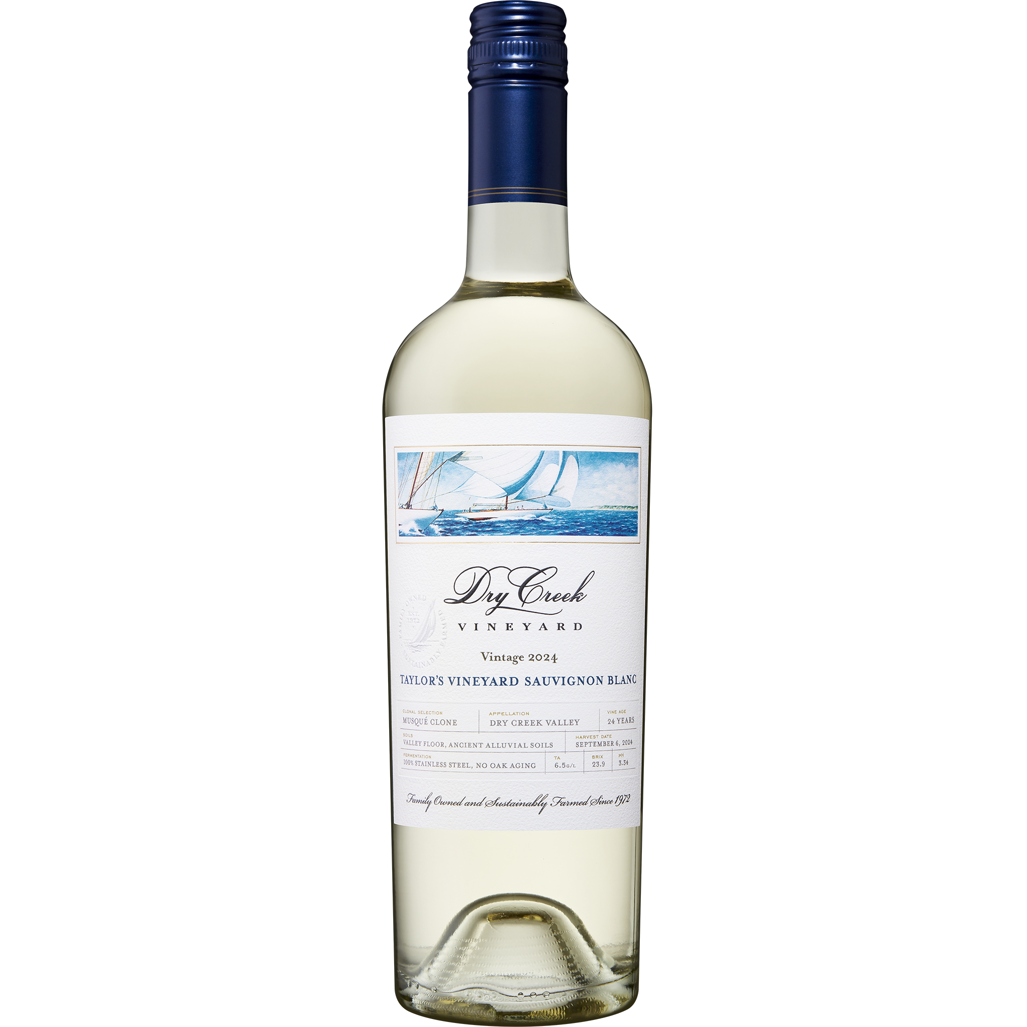 2024-taylors-vineyard-