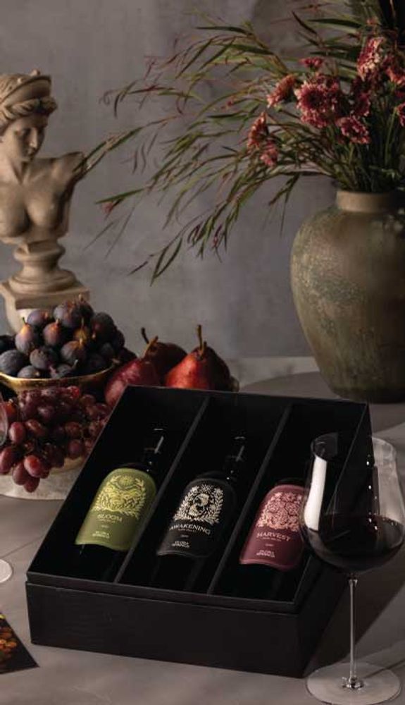 Journey Cabernet Sauvignon GIft Set