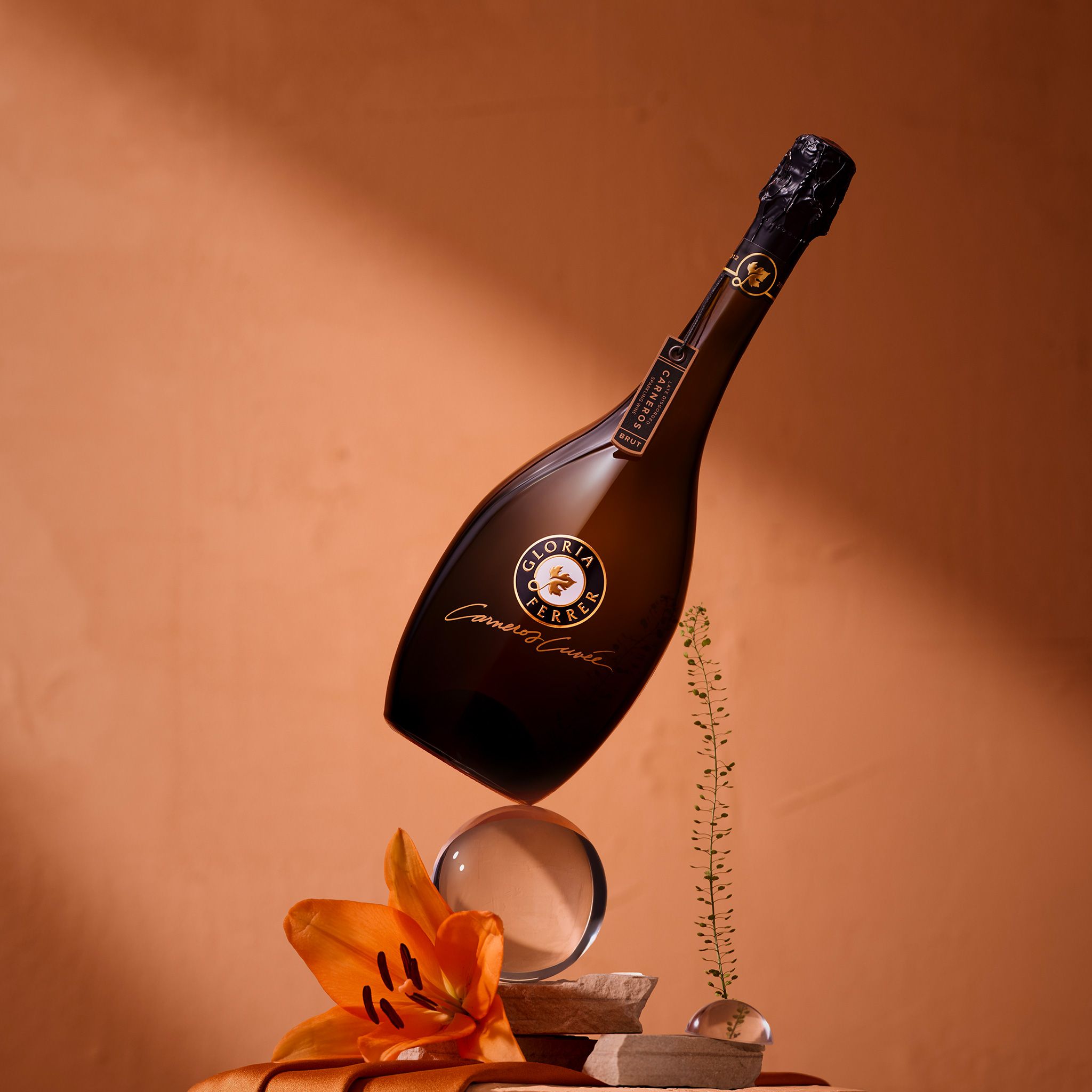 2008 Carneros Cuvée - Library | Gloria Ferrer