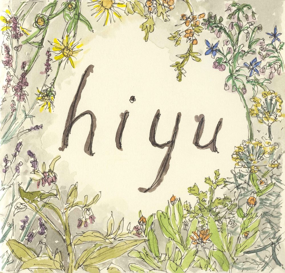 Hiyu 2015 Arco Iris