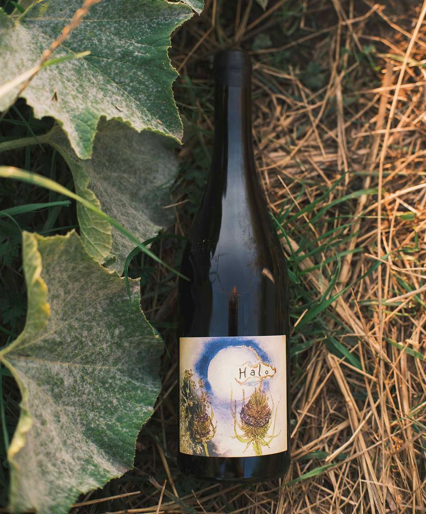Hiyu 2017 Halo “Perennial”, Columbia Gorge Red Wine