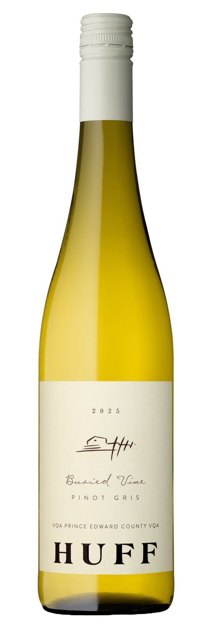 2025 Buried Vine Pinot Gris