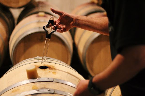 Barrel Cellar Tasting