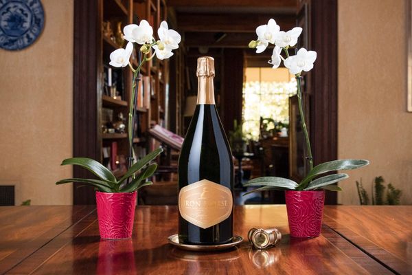 2018 Golden Cuvée | Iron Horse Vineyards