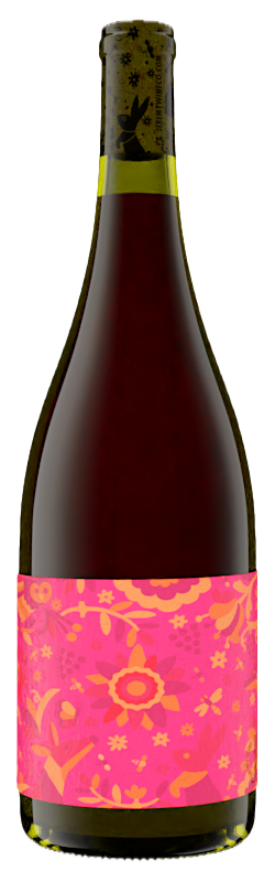 2023 Sangiovese Piquette