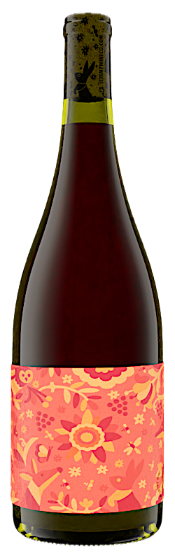 2023 Zinfandel Piquette