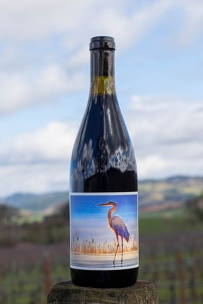 Shop — Johan Vineyards