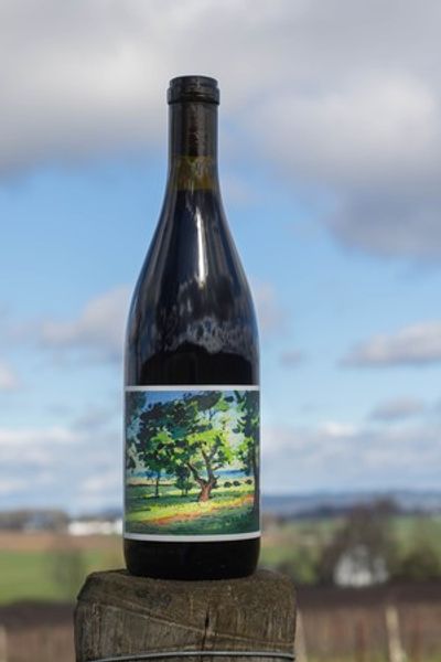 Shop — Johan Vineyards