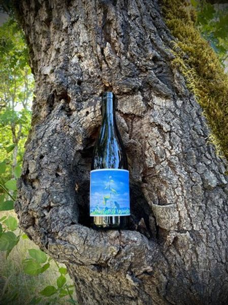 Shop — Johan Vineyards