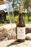2025 SAUVIGNON BLANC photo 3