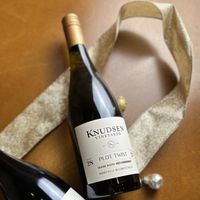 Talking Blocks Series Plot Twist Chardonnay 2022 | Knudsen Vineyards
