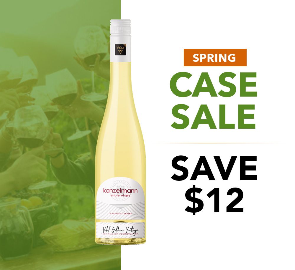 Vidal Golden Vintage Case Sale