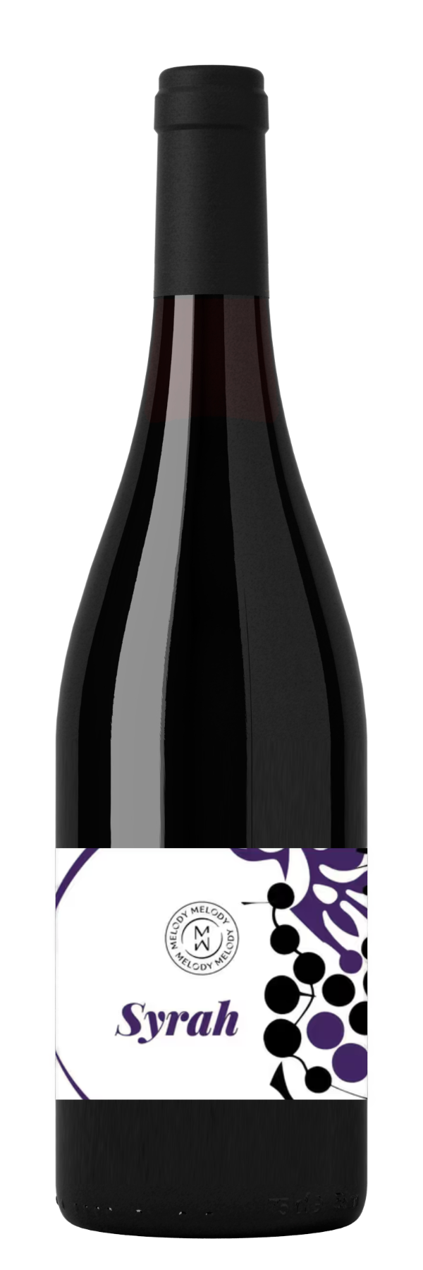 Syrah, Rhone Valley bottle