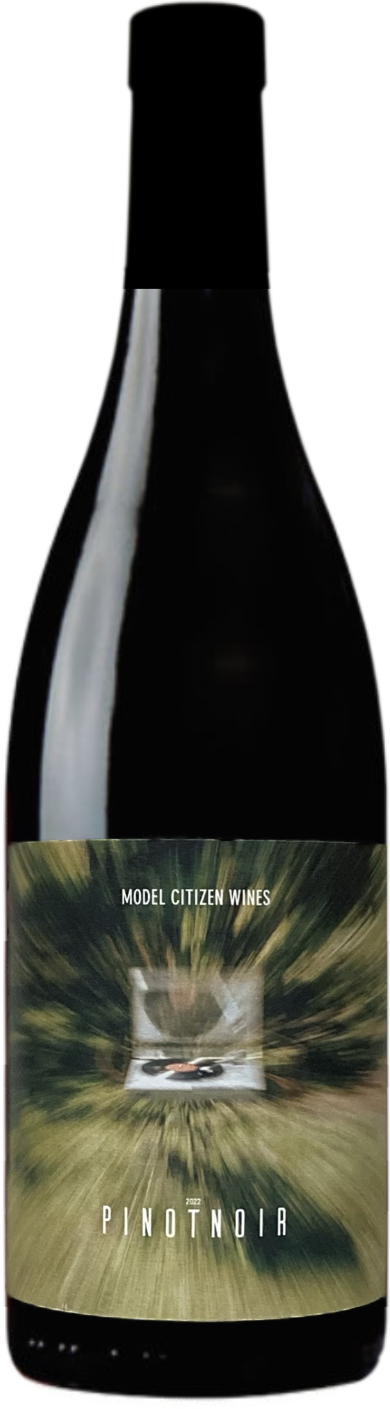 2022 Pinot Noir, Santa Cruz bottle