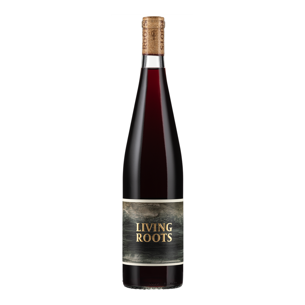 2022 Finger Lakes Red Rizza | Living Roots Wine & Co.