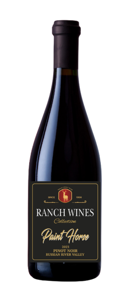 Pinot Noir - 2023 Paint Horse