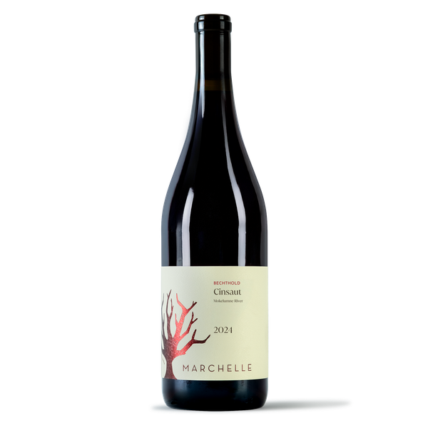 2024 Old Vine Cinsaut | Marchelle Wines