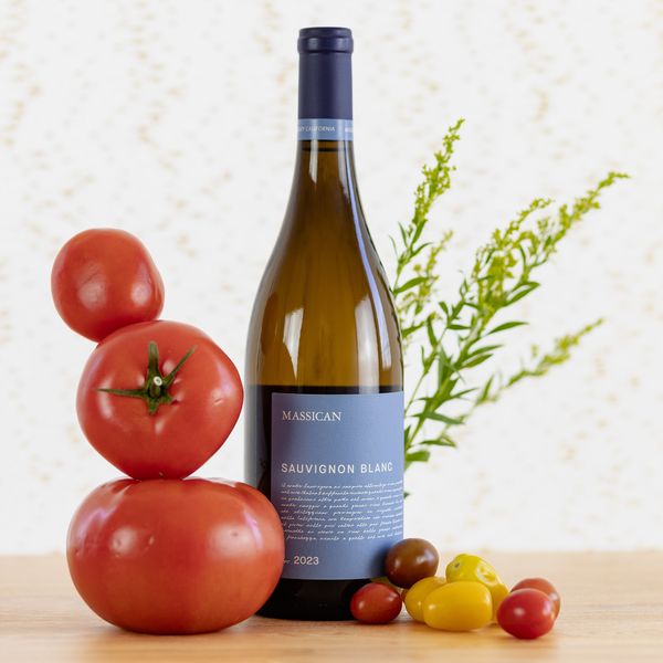 sauvignon-2023-1712542792336 image